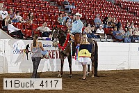 11buck_4117 proof