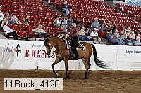 11buck_4120 proof
