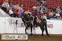 11buck_4128 proof