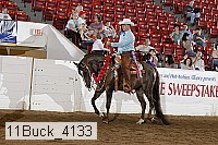 11buck_4133 proof