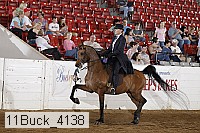 11buck_4138 proof
