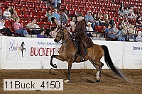 11buck_4150 proof