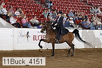 11buck_4151 proof