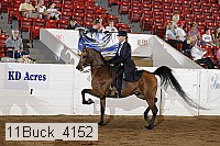 11buck_4152 proof