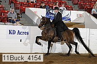 11buck_4154 proof