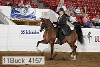 11buck_4157 proof