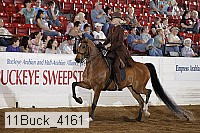 11buck_4161 proof