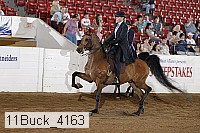 11buck_4163 proof