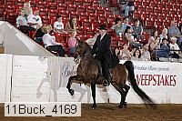 11buck_4169 proof