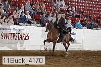 11buck_4170 proof