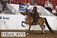 11buck_4173 proof