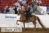 11buck_4175 proof