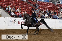 11buck_4186 proof
