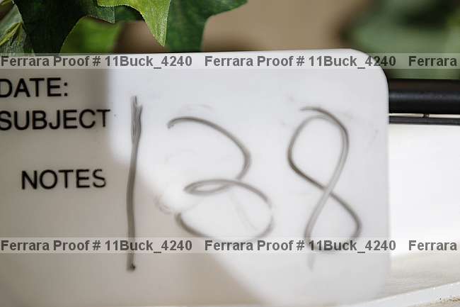 Proof 11buck_4240