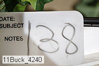 11buck_4240 proof