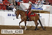 11buck_4248 proof