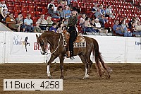 11buck_4258 proof