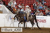 11buck_4268 proof