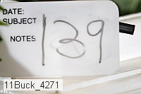 11buck_4271 proof