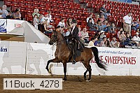 11buck_4278 proof