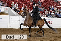 11buck_4281 proof