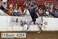 11buck_4284 proof