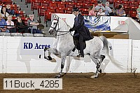 11buck_4285 proof