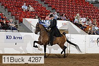 11buck_4287 proof