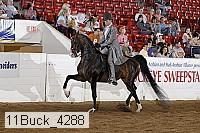 11buck_4288 proof