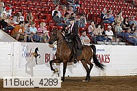 11buck_4289 proof
