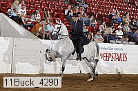11buck_4290 proof