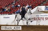11buck_4291 proof
