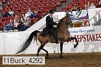 11buck_4292 proof