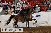 11buck_4294 proof