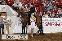 11buck_4296 proof