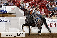 11buck_4299 proof