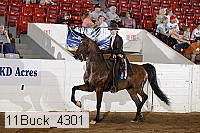 11buck_4301 proof