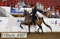 11buck_4307 proof
