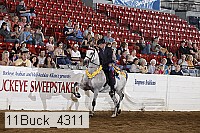 11buck_4311 proof