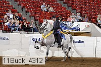 11buck_4312 proof