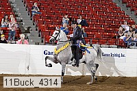 11buck_4314 proof