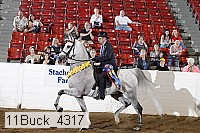 11buck_4317 proof