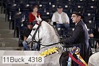 11buck_4318 proof