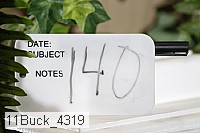 11buck_4319 proof
