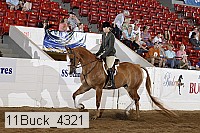 11buck_4321 proof