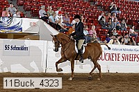 11buck_4323 proof