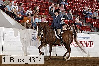 11buck_4324 proof