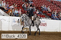 11buck_4328 proof