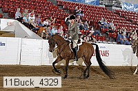 11buck_4329 proof