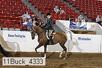 11buck_4333 proof
